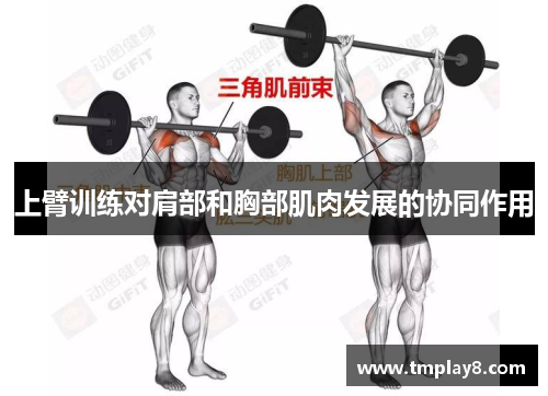 上臂训练对肩部和胸部肌肉发展的协同作用